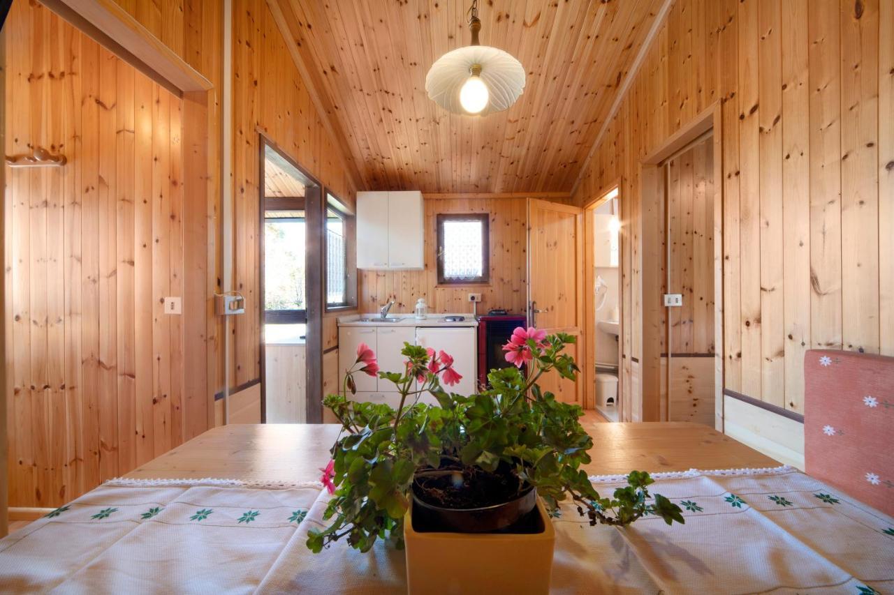 Casa Rododendro Villa Barzio Kültér fotó